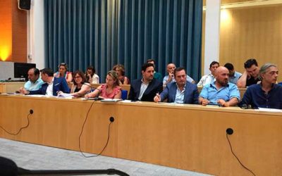 CETM-Madrid muestra su optimismo para lograr un Madrid Central viable y consensuado