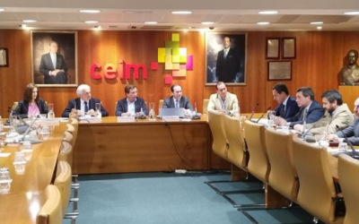 CETM-Madrid aplaude la moratoria que estudia el Ayuntamiento de permitir el acceso a Madrid Central de vehículos de menos de 3.500 kilos