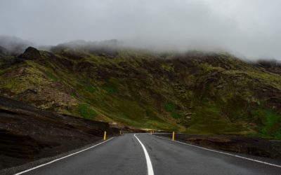 CORTADA LA AP-8 EN IRÚN POR LA CAÍDA DE UN ÁRBOL
