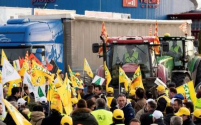 LOS AGRICULTORES VUELVEN A PROTESTAR CON TRACTORADAS Y CORTES DE CARRETERAS A PARTIR DE ESTE JUEVES
