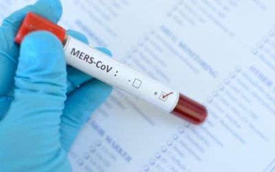 TEST RÁPIDOS DE CORONAVIRUS TAMBIÉN PARA LOS TRANSPORTISTAS